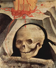 skull