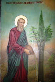 tree kedr